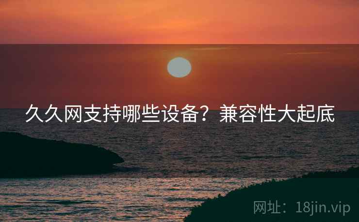 久久网支持哪些设备?兼容性大起底
