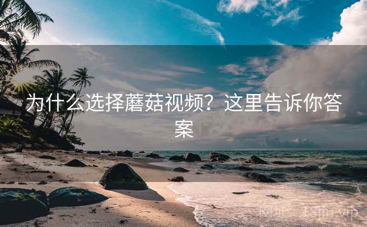 为什么选择蘑菇视频？这里告诉你答案