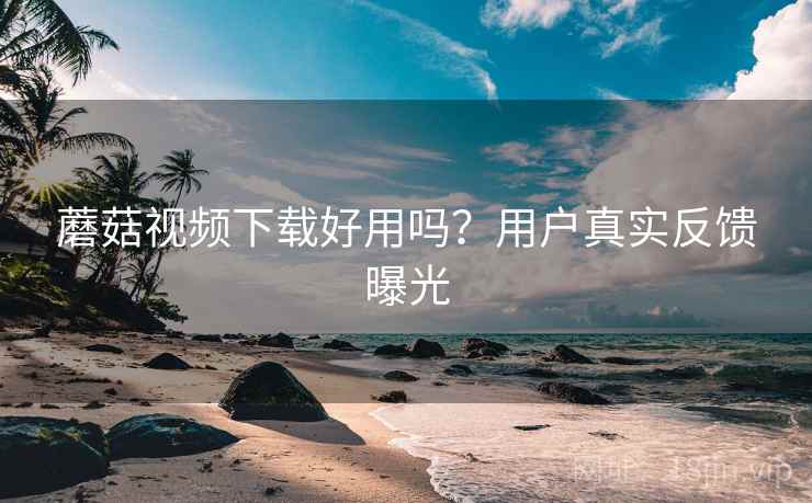 蘑菇视频下载好用吗？用户真实反馈曝光